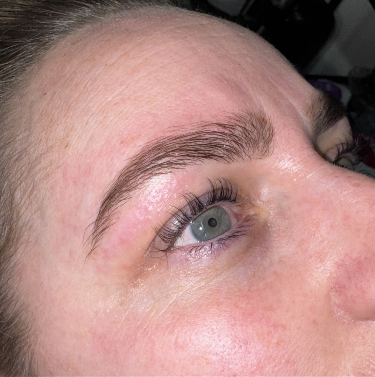 Eyebrow Wax Shape & Tint
